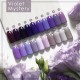 Гель-лак Fresh Prof  Violet Mystery V23